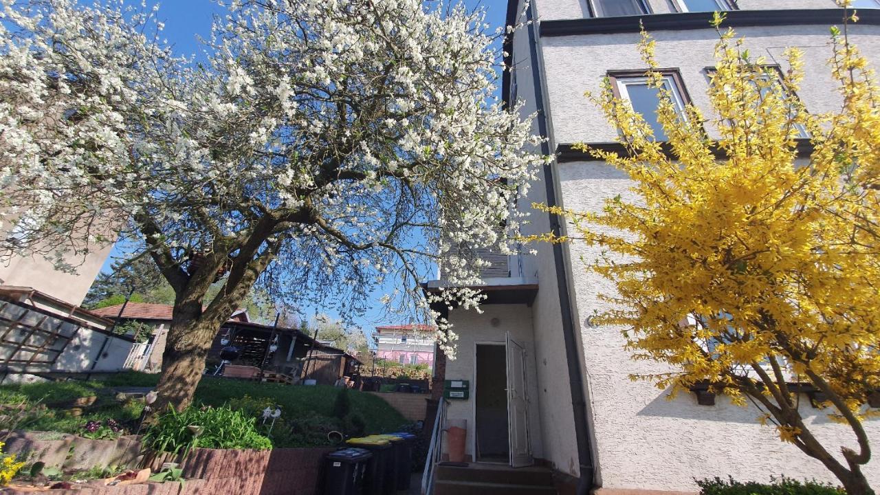 Schoene Aussicht, Wallbox, 70Qm, Kontaktloser Check-In Эйзенах Экстерьер фото