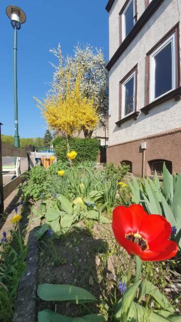 Schoene Aussicht, Wallbox, 70Qm, Kontaktloser Check-In Эйзенах Экстерьер фото